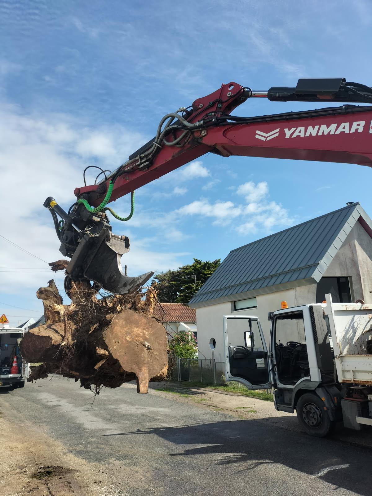 Élagueur à Pornichet – Taille, abattage et entretien d’arbres | ABACA élagage