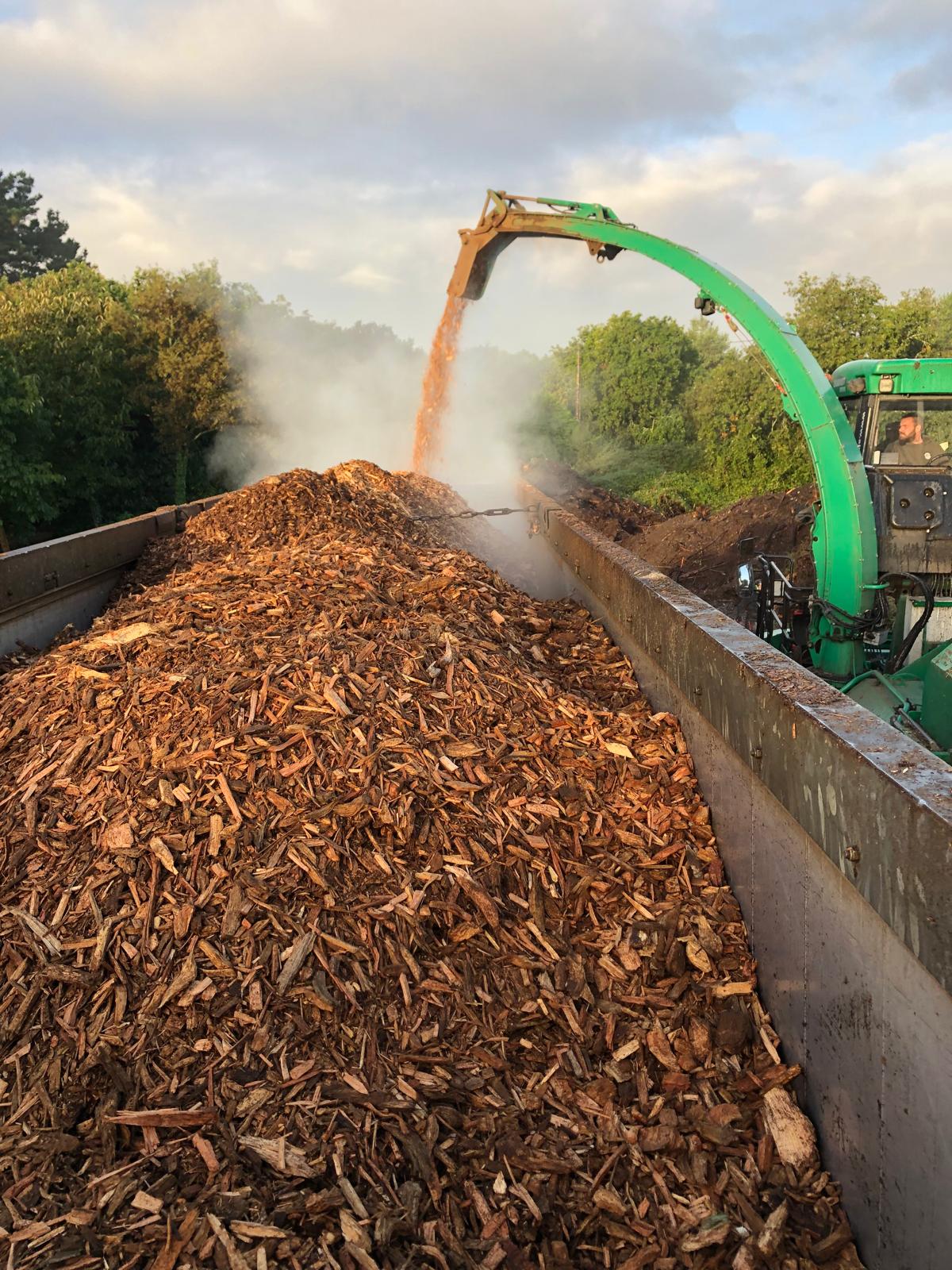 Valorisation des déchets abaca élagage pornichet
