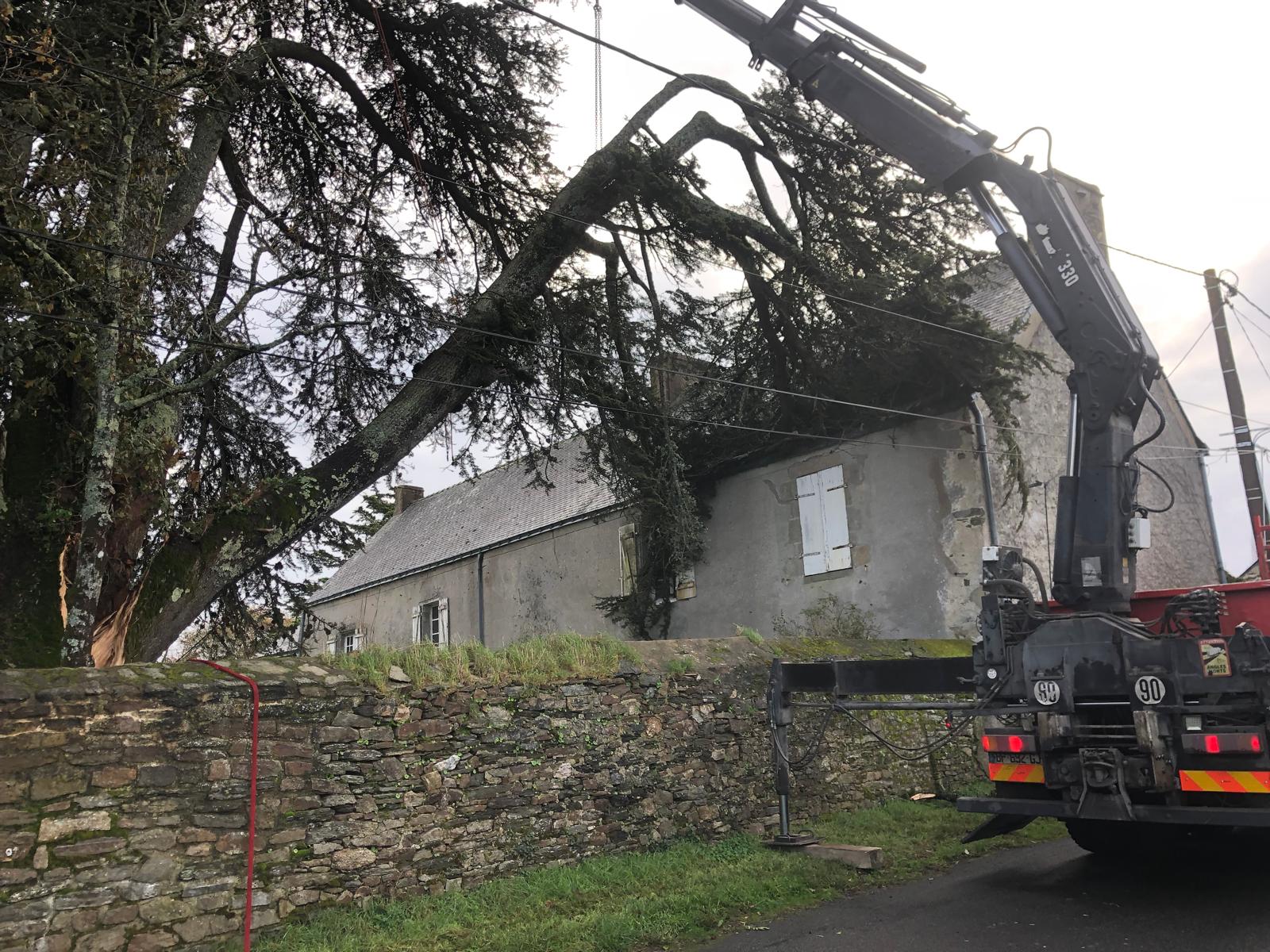 Intervention sur un arbre déraciné suite à des sols gorgés d'eau. Une situation à éviter absolument